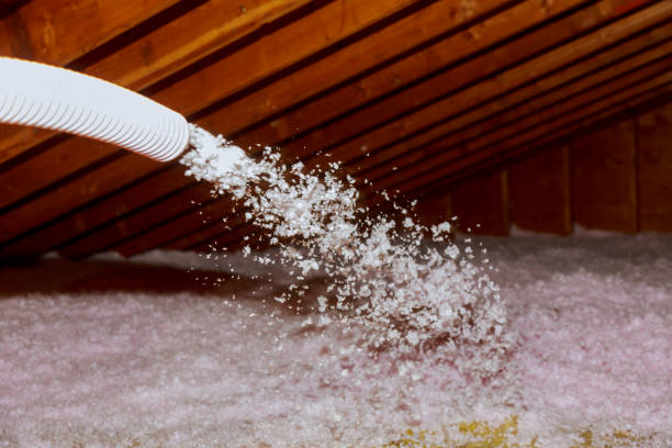 Best Insulation Removal  in Mercersburg, PA